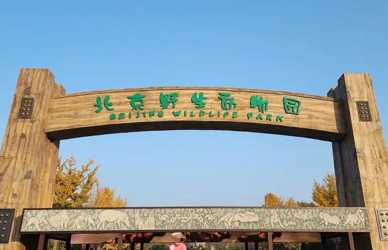 北京到北京野生動(dòng)物園包車旅游