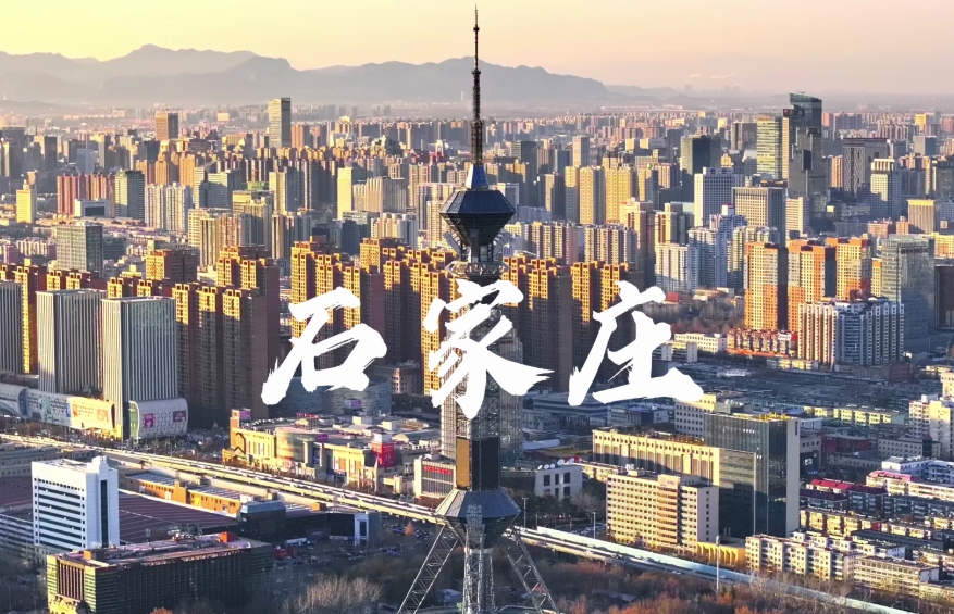 北京到石家莊租車